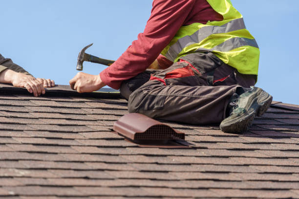 Best Storm Damage Roof Repair  in Shannon, MS