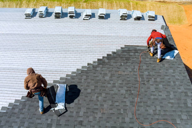 Best Metal Roofing Contractor  in Shannon, MS