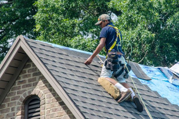 Best Emergency Roof Repair  in Shannon, MS